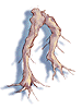 Maneater Root [0]