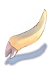 Zenorc's Fang [0]