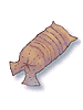 Earthworm Peeling [0]