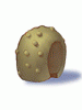 Round Shell [0]