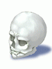 Vagabond's Skull [0]