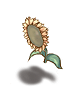 Sunflower [0]