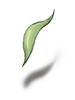 Romantic Leaf [0]
