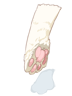 Paw Of Cat [0]