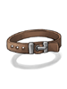 Belt [1]