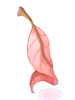 Red Herb [0]