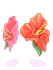 Hibiscus [0]