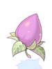 Mastela Fruit [0]