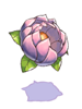 Fairy Flower [1]