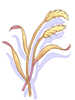 Grain [0]