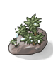 Dew Laden Moss [0]
