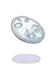 Mithril Coin [0]
