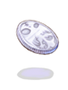 Platinum Coin [0]