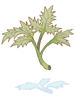 Herb of Incantation [0]
