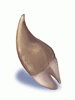 Ogre Tooth [0]