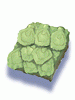 Anolian Skin [0]