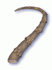 Tough Scalelike Stem [0]