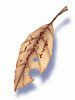 Bookclip in Memory [0]