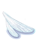 Wing of Dragonfly [0]