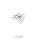 Woman's Moustache [0]