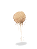 Sand Clump [0]