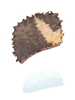 Black Bear Skin [0]
