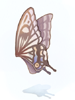 Giant Butterfly Wing [0]