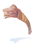 Decomposed Rope [0]