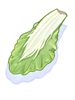 Bok Choy [0]