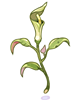 Poison Herb Seratum [0]