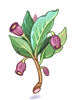 Poison Herb Scoporia [0]