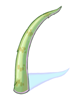 Pointed Scale [0]