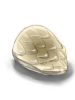 Scale Shell [0]