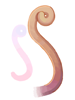 Yoyo Tail [0]