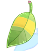 Raccoon Leaf [0]