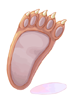 Bear's Footskin [0]