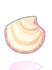 Clam Shell [0]