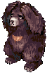 Zipper Bear